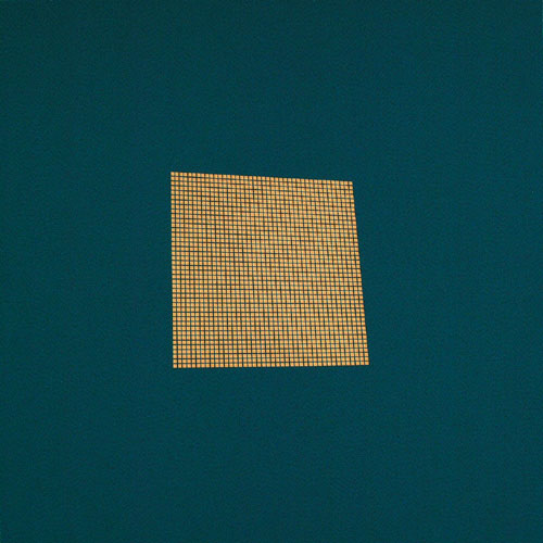 Tess Jaray